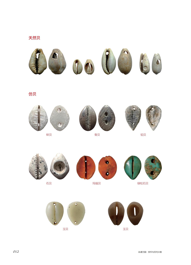 ���������ͨ��������ӻ��ҿ���ʷ