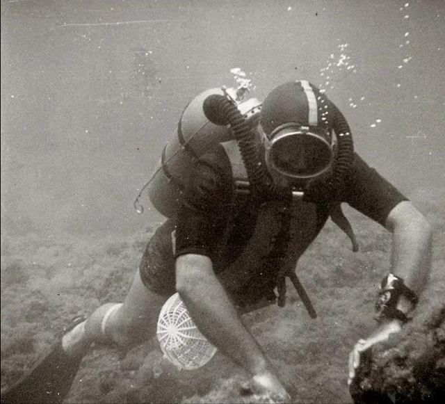 �����մɱ�Ϊɶ��ô�������������������𰸣�